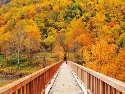 【注册新加坡公司】注册新加坡公司的条件是什么？